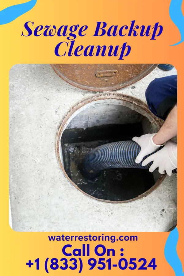 Sewage Backup Cleanup in Westlake, FL